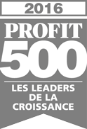 Profit 500 2016